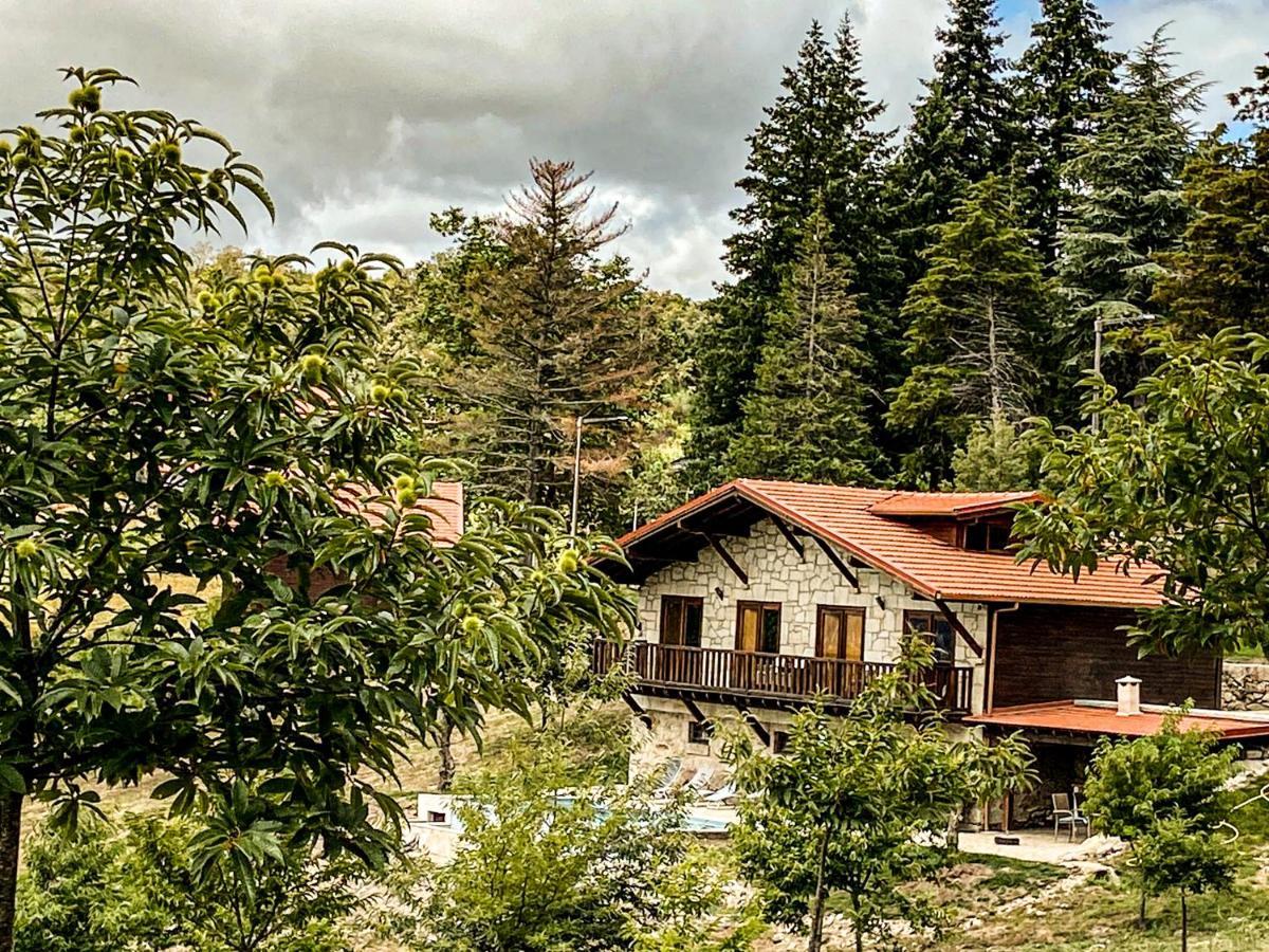 Quinta Outono Dourado Villa Montalegre Exterior photo